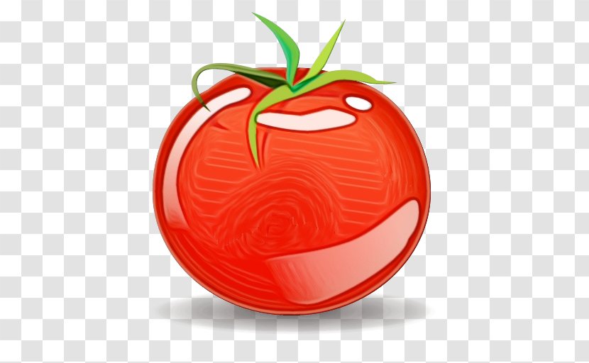 Apple Logo Background - Red - Nightshade Family Transparent PNG