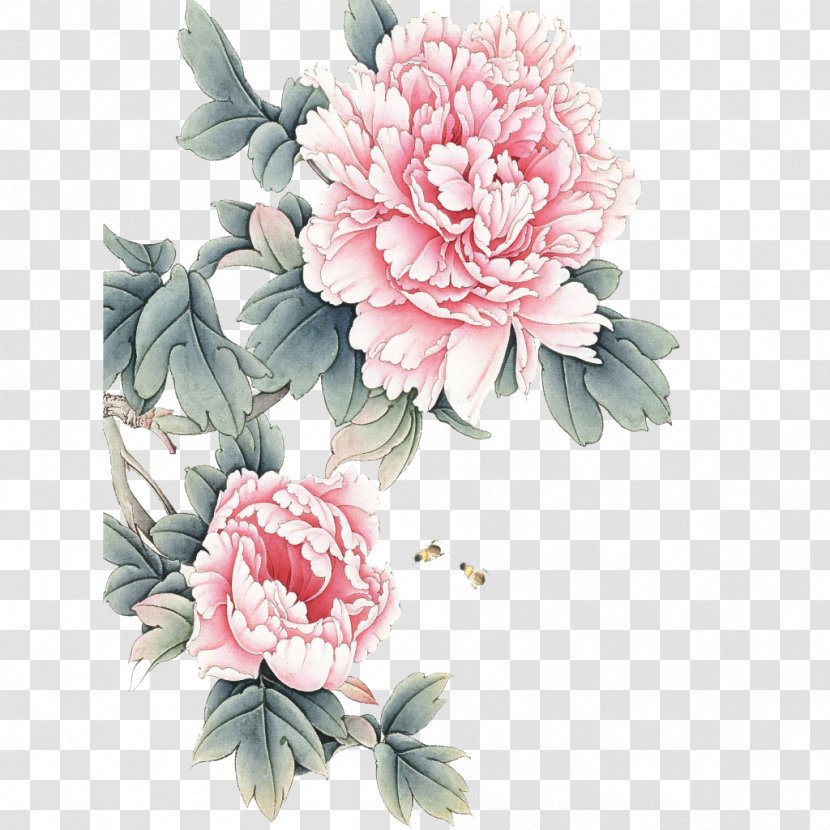 Flower Pink Plant Peony Cut Flowers - Petal Chinese Transparent PNG