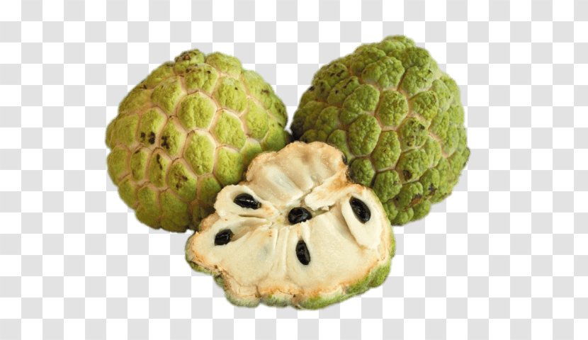 Custard Sugar-apple Fruit Sugar Apple - Butter Transparent PNG