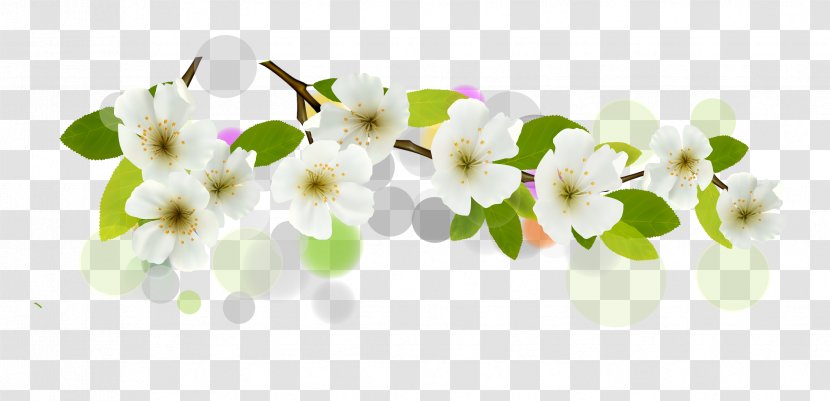 Flower Euclidean Vector White Banner - Flowers Transparent PNG