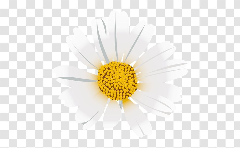 Roman Chamomile Dandelion Flower Oxeye Daisy Chrysanthemum - Flor Transparent PNG