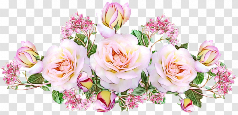 Garden Roses Transparent PNG