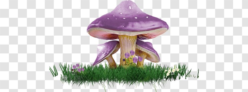 Mushroom Poisoning Clip Art - Plant Transparent PNG