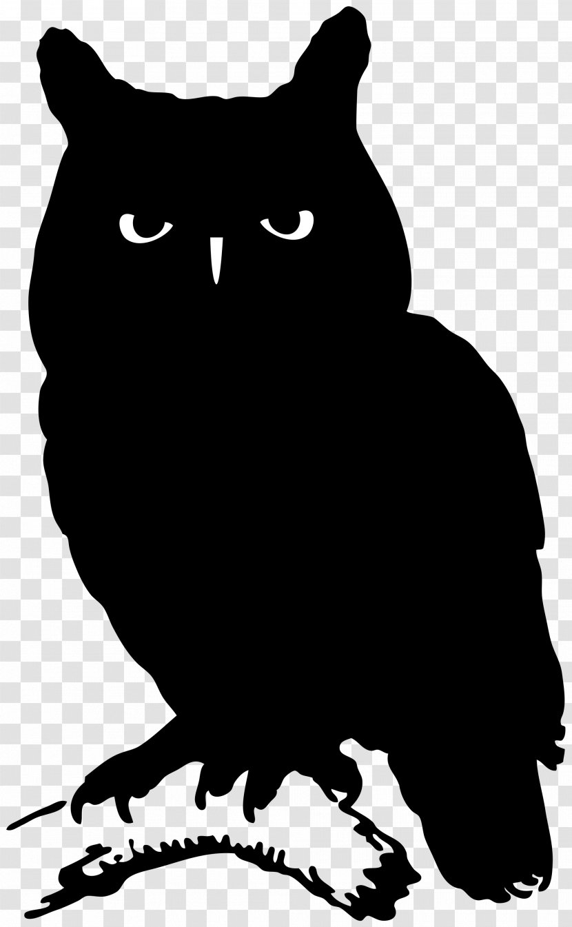 Owl Whiskers Silhouette Bird - Eastern Screech Transparent PNG