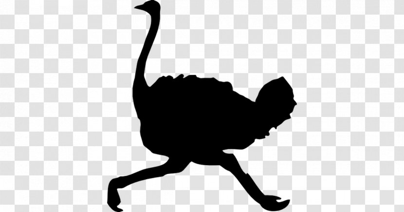 Common Ostrich Bird Emu Silhouette - Tail Transparent PNG