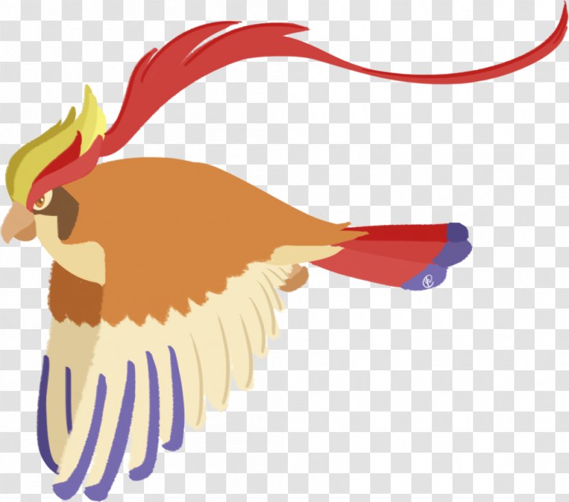 DeviantArt Fan Art Pidgeotto - Silhouette - Pidgeot Transparent PNG