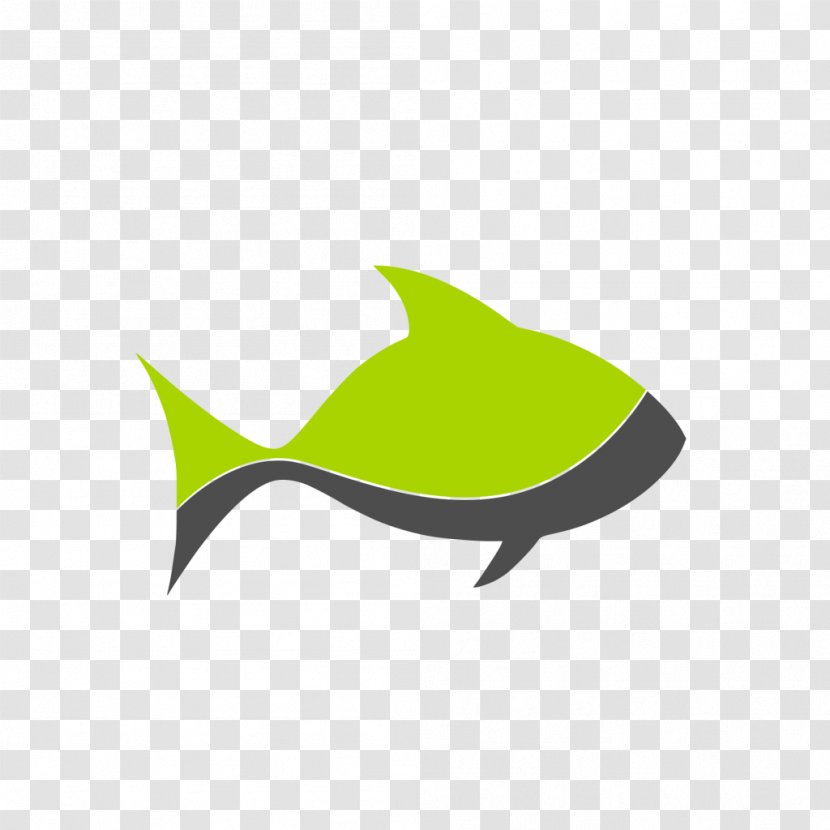Fish Logo Object Clip Art - Licence Cc0 - Elements Transparent PNG