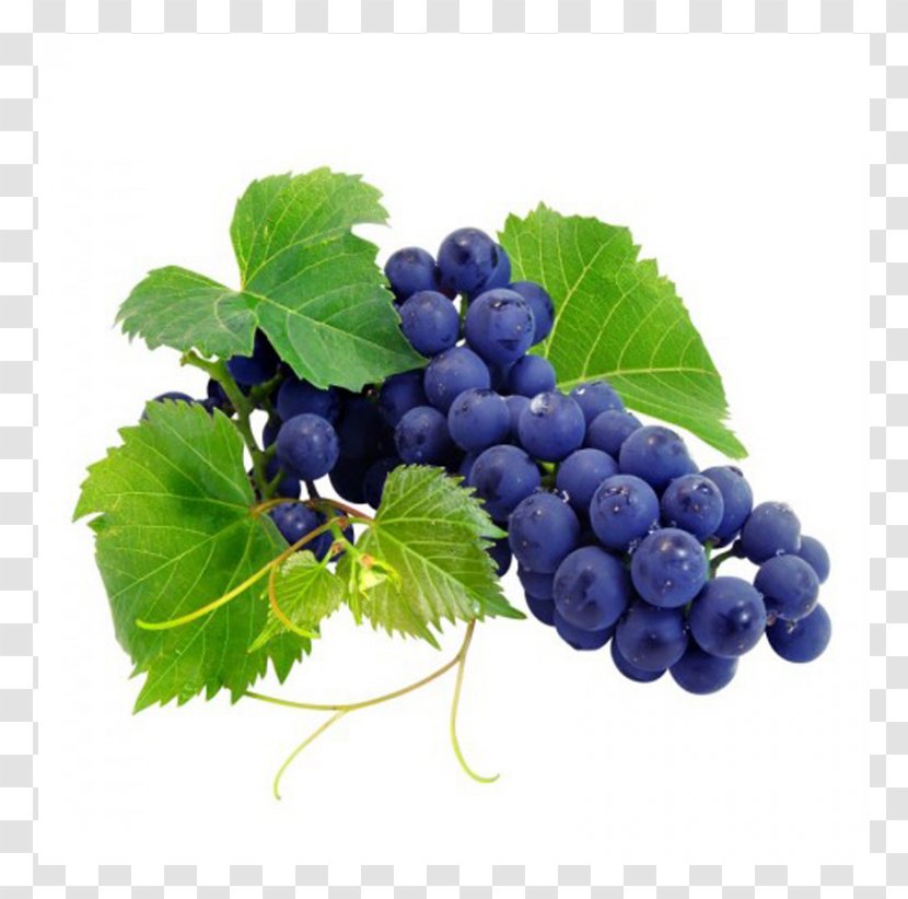 Coupon Wine Grape Cabernet Franc Drink - Flavor Transparent PNG