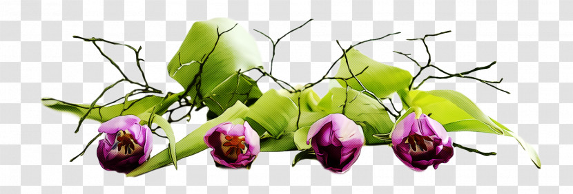 Spring Flower Spring Floral Flowers Transparent PNG