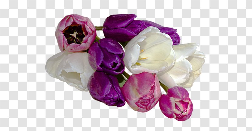 Cut Flowers Flower Bouquet Artificial Petal - Rose - Tulip Material Transparent PNG