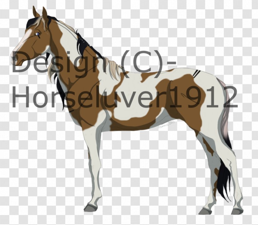 Mule Bridle Foal Stallion Mare - Horse Supplies - Mustang Transparent PNG