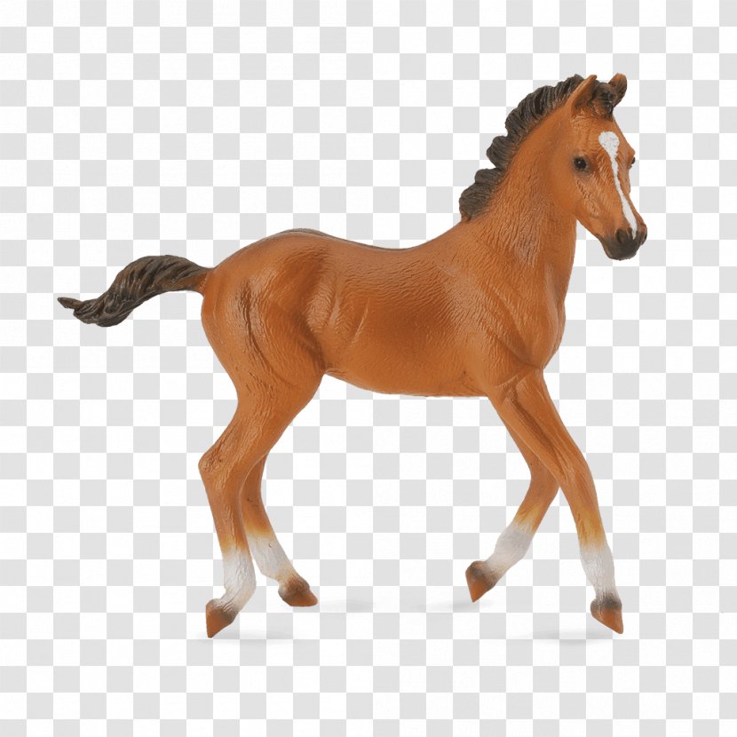 American Quarter Horse Foal Paint Clydesdale Mare Transparent PNG
