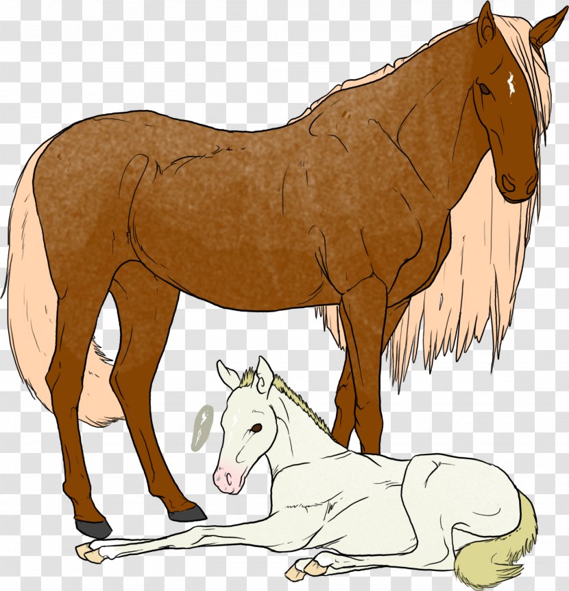 Mule Foal Mustang Colt Stallion - Surprised Beauty Transparent PNG