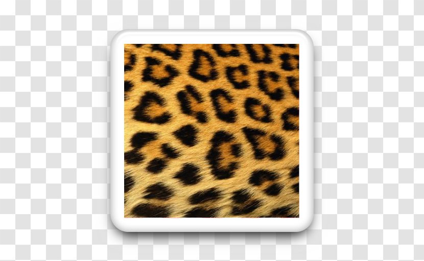 Cheetah Jaguar Animal Print Tiger Ocelot - Mammal Transparent PNG