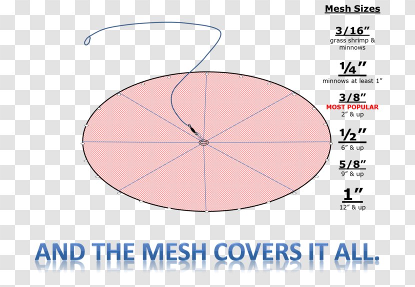 Cast Net Casting Mesh - Pilchard Transparent PNG