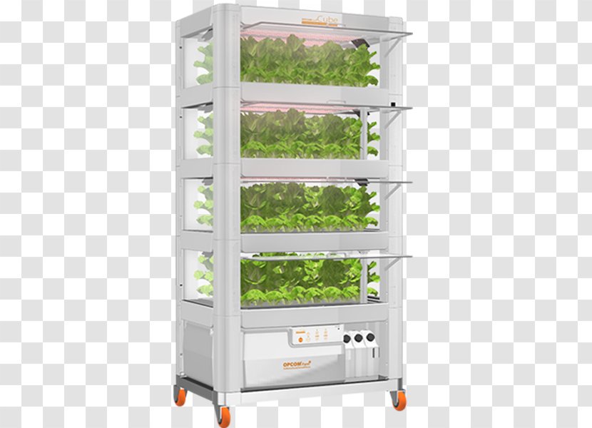 Shelf Food Warmer Display Case - Shelving - Hydroponic Transparent PNG