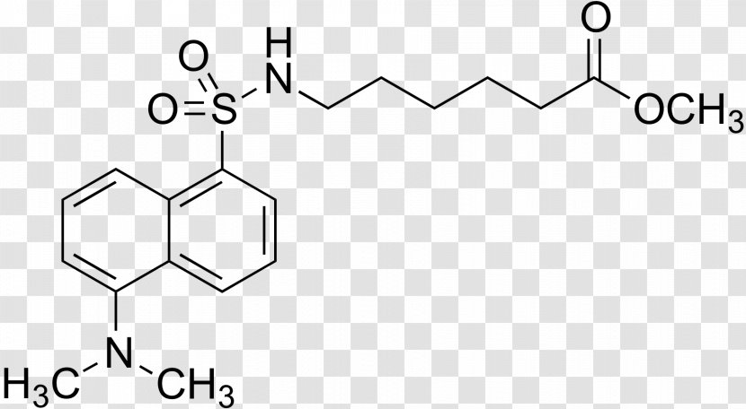 Pharmaceutical Drug Enzyme Inhibitor Nootropic Design - Chemical Compound - Hexanoic Acid Transparent PNG