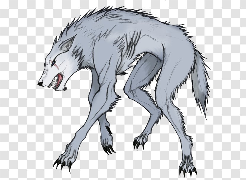 Werewolf Gray Wolf Legendary Creature Demon Berserker Transparent PNG