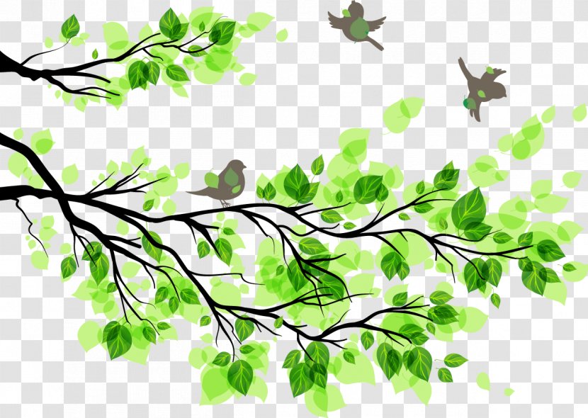 Branch Leaf Wall Decal Tree - Flowering Plant - Green Transparent PNG