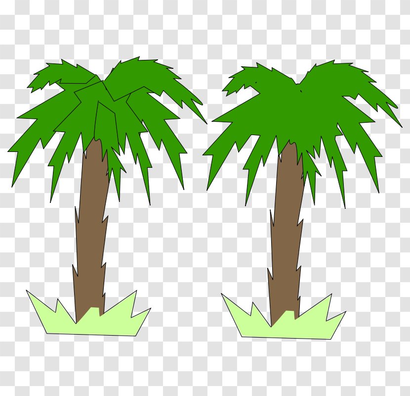 Arecaceae Tree Free Content Clip Art - Flowering Plant - Picture Of Palm Trees Transparent PNG