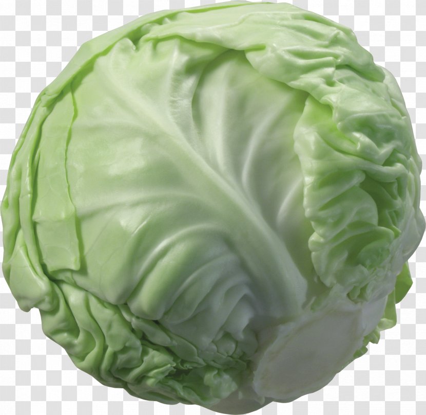 Cabbage Cauliflower Vegetable Broccoli - Savoy - Image Transparent PNG