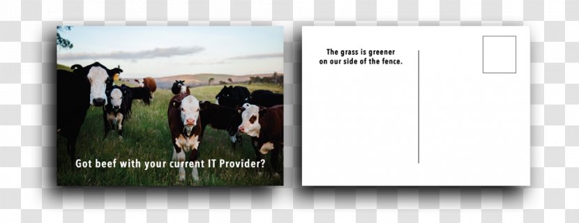 Advertising Brand - Grass - Marketing Postcard Transparent PNG