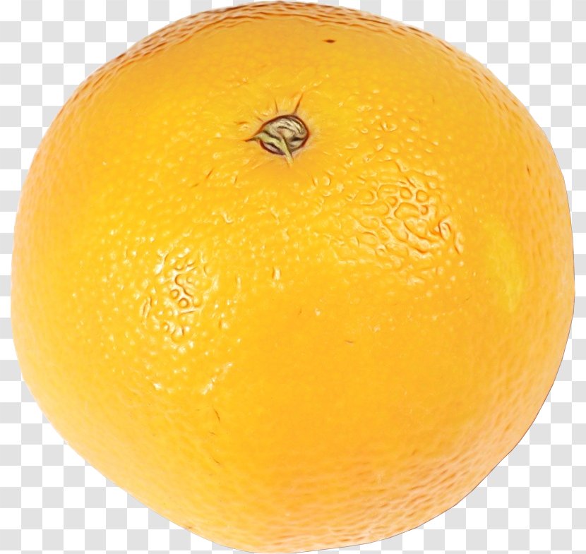 Orange - Yellow - Meyer Lemon Mandarin Transparent PNG