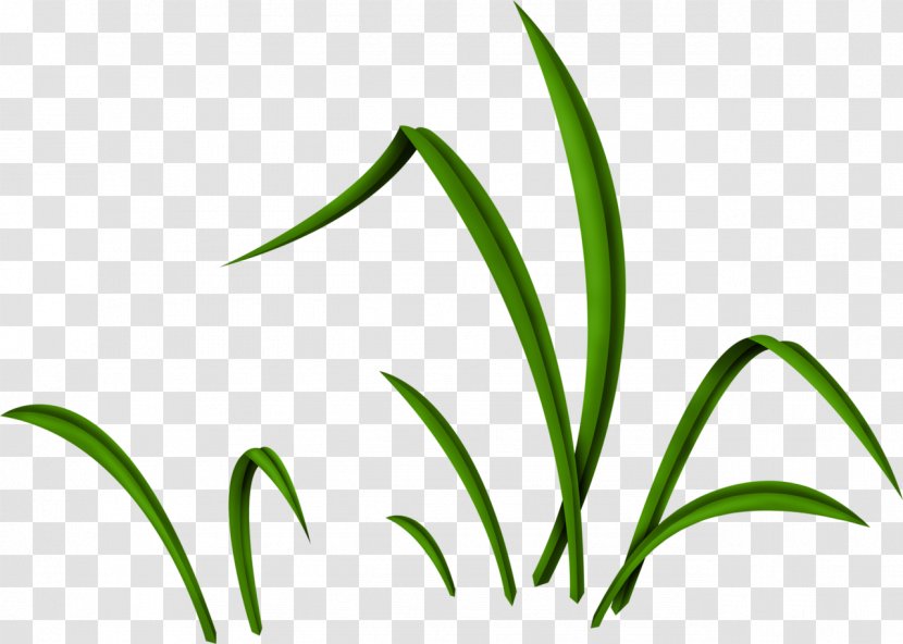 Easter Bunny Plant Stem Flower Clip Art - Tree - Green Leaves Transparent PNG