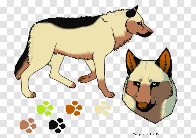 Dog Breed Cat Rough Collie Red Fox Snout - Carnivoran - Jackal Transparent PNG