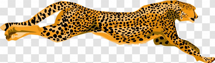 Cheetah Leopard Tiger Clip Art - Wildlife - Pic Transparent PNG