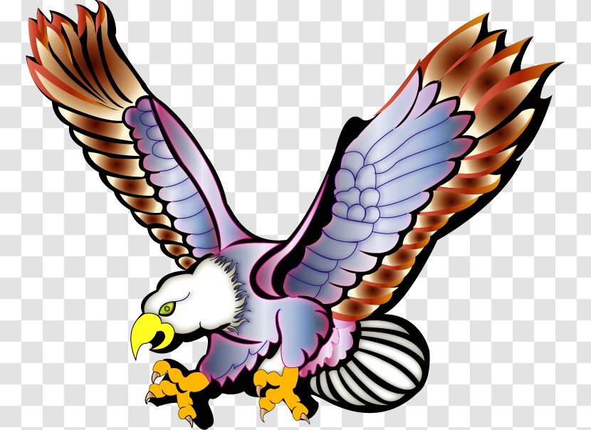 Bald Eagle Águilas Clip Art - Fauna Transparent PNG