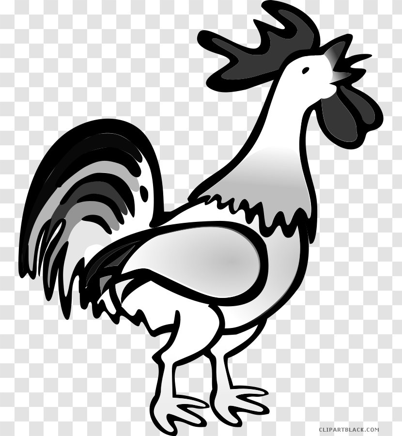 Leghorn Chicken Foghorn Rooster Clip Art - Chick Transparent PNG