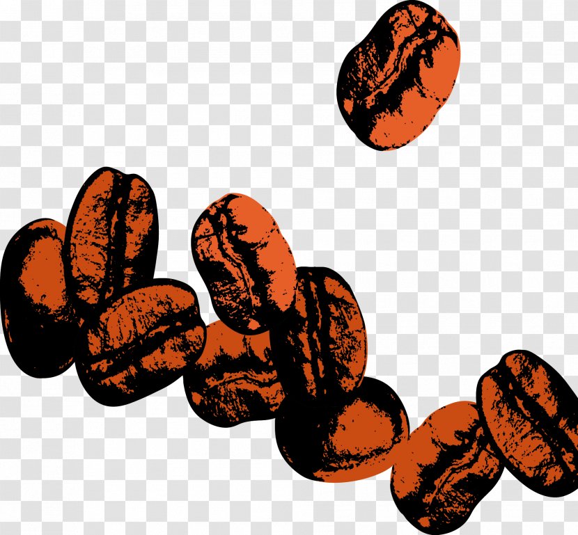 Coffee Bean - Resource - Vector Beans Transparent PNG