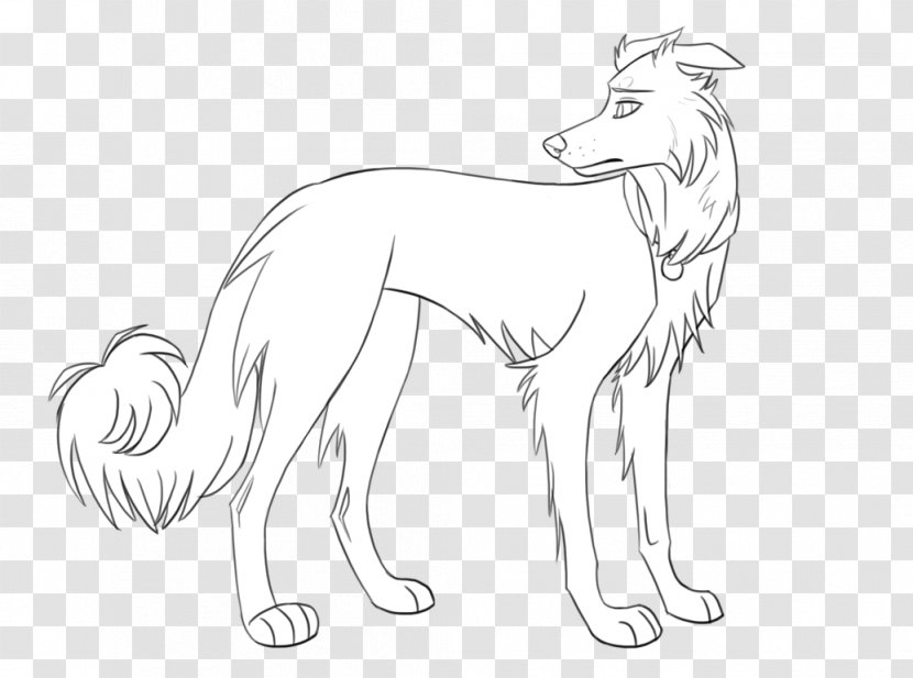 Dog Breed Border Collie Rough Smooth American Pit Bull Terrier - Pet Transparent PNG