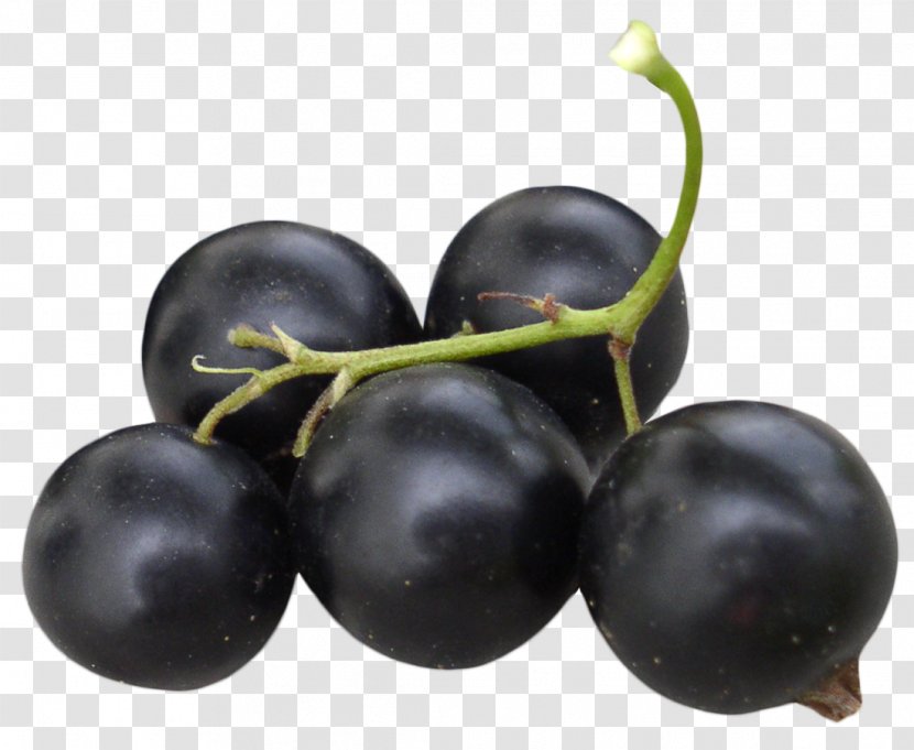 Blackcurrant Frutti Di Bosco Redcurrant Marmalade Liquorice - Huckleberry - Black Currant Transparent PNG
