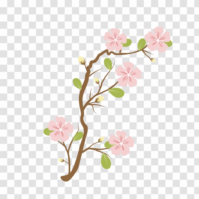 National Cherry Blossom Festival Pink Cerasus - Vecteur - Blossoms Transparent PNG