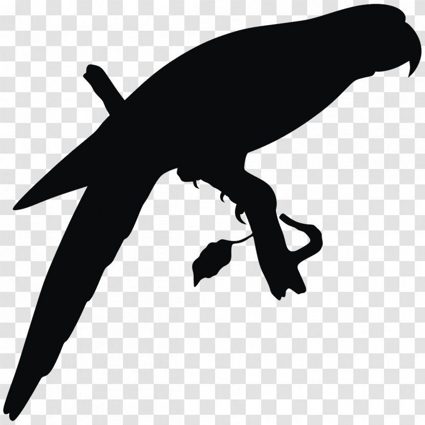 Silhouette Bird Drawing Clip Art - Cockatoo Transparent PNG