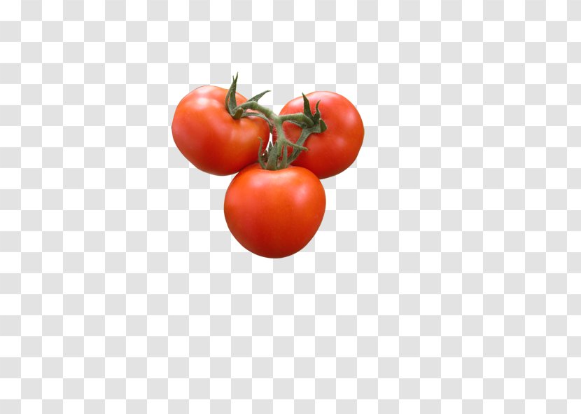 Plum Tomato Vegetable Bush - Ketchup Transparent PNG
