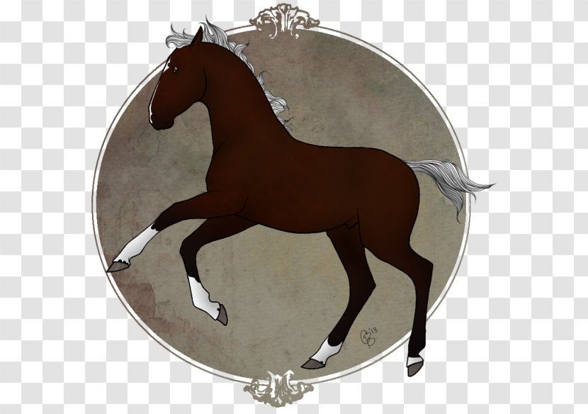 Stallion Rein Mustang Mare Halter - Horse Tack Transparent PNG