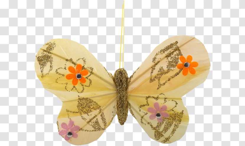 Moth - Invertebrate - Pollinator Transparent PNG