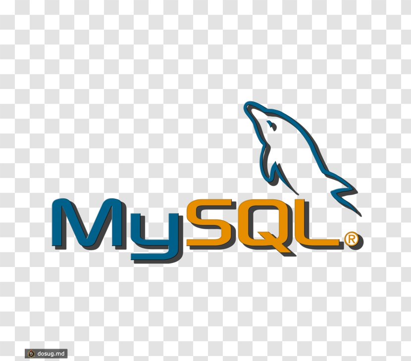 PHP MySQL HTML Cascading Style Sheets Database - Oracle Application Development Framework Transparent PNG
