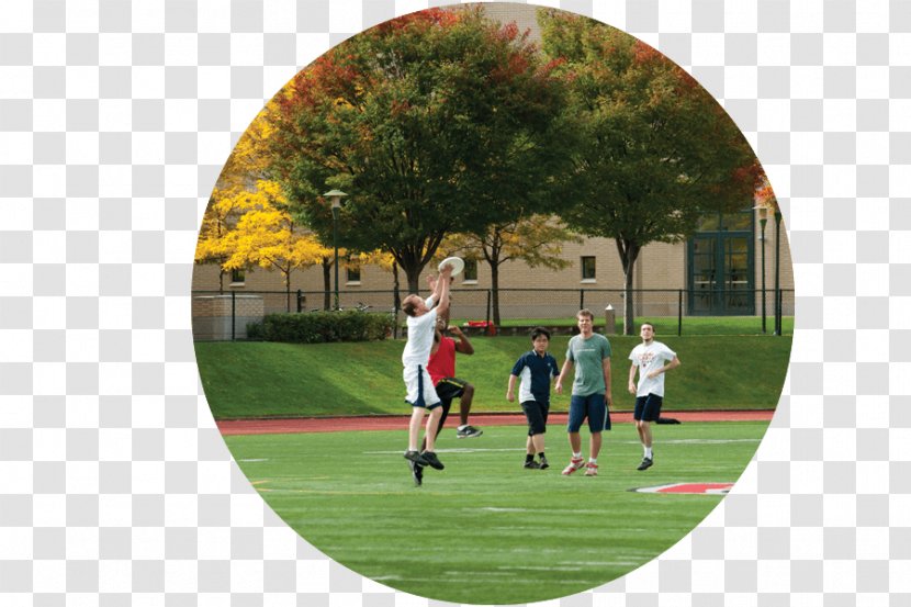 Carnegie Mellon University Tartans Football Game Team Sport Marvell Technology Group - Sports Equipment Transparent PNG