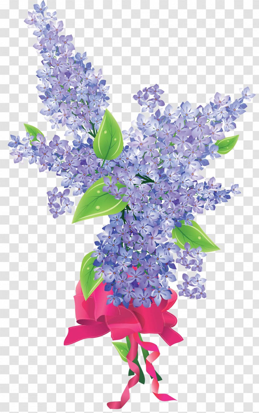 Flower Lavender Lilac - Violet Transparent PNG