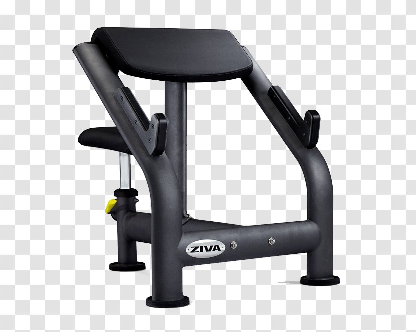 Bench Physical Fitness Centre Weight Training Strength - Office Desk Chairs - Rip Curl Transparent PNG