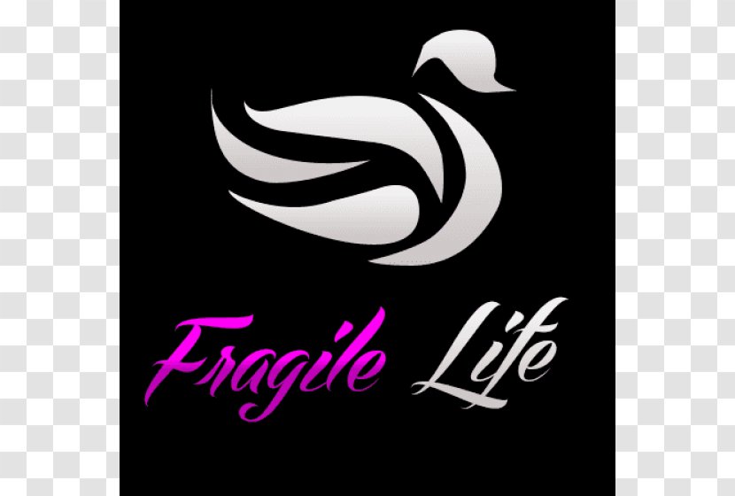 San Miguel Social Media About.me Video Logo - Fragile Life Transparent PNG