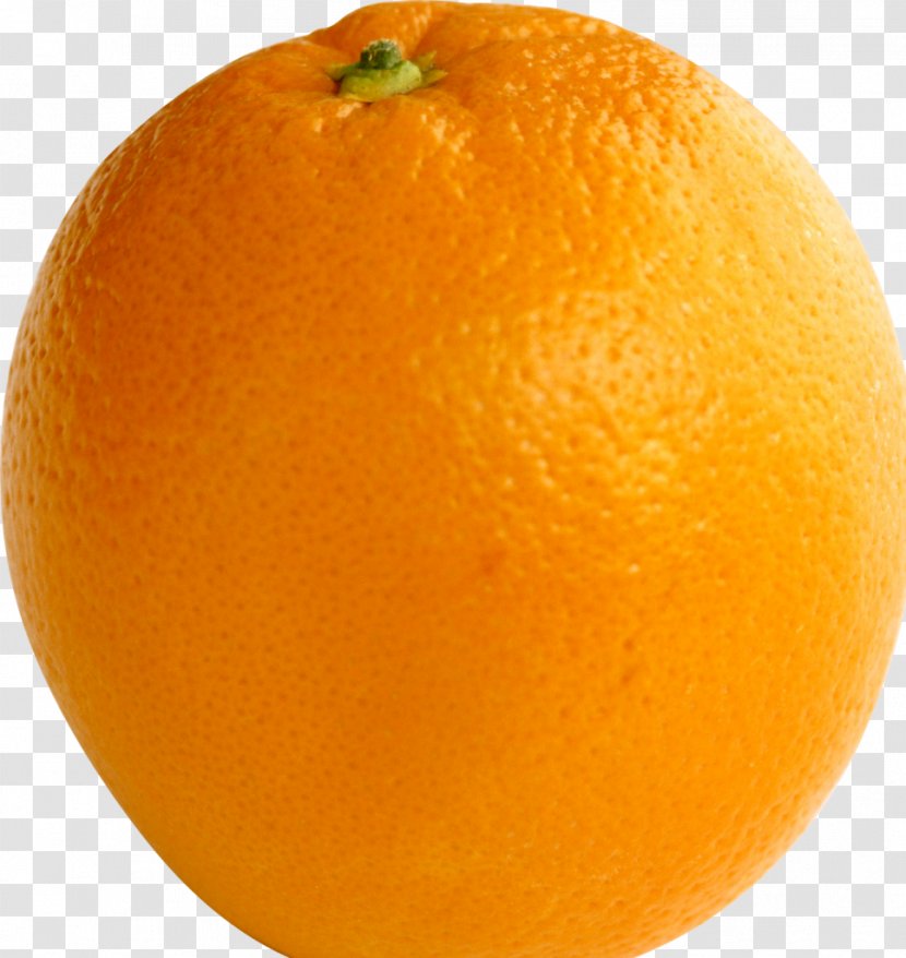Blood Orange Tangerine Tangelo Clementine Mandarin - Rangpur Transparent PNG