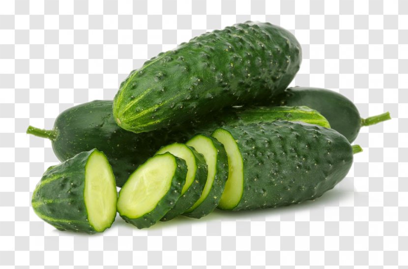 Juicer Cucumber Vegetable Fruit - Slices And Transparent PNG