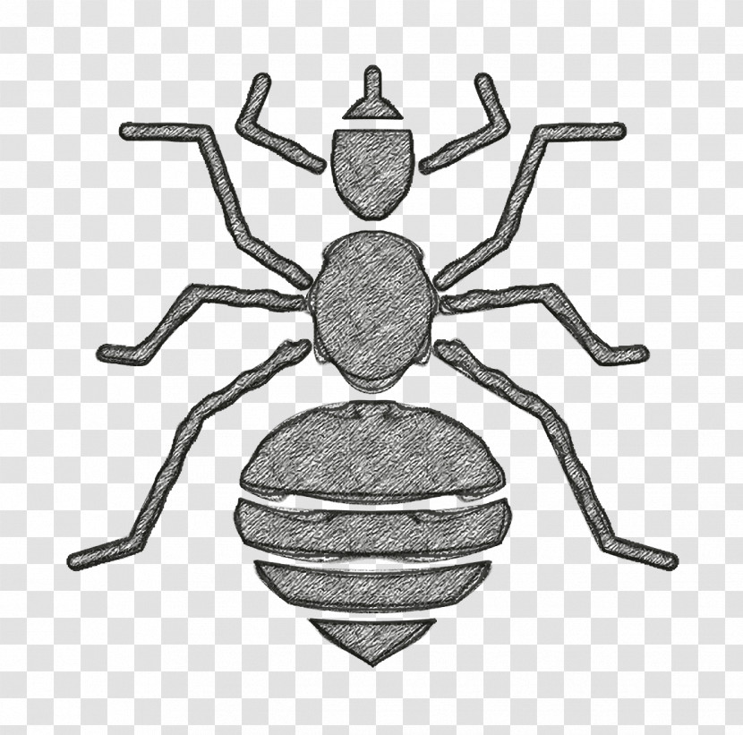 Insects Icon Louse Icon Transparent PNG