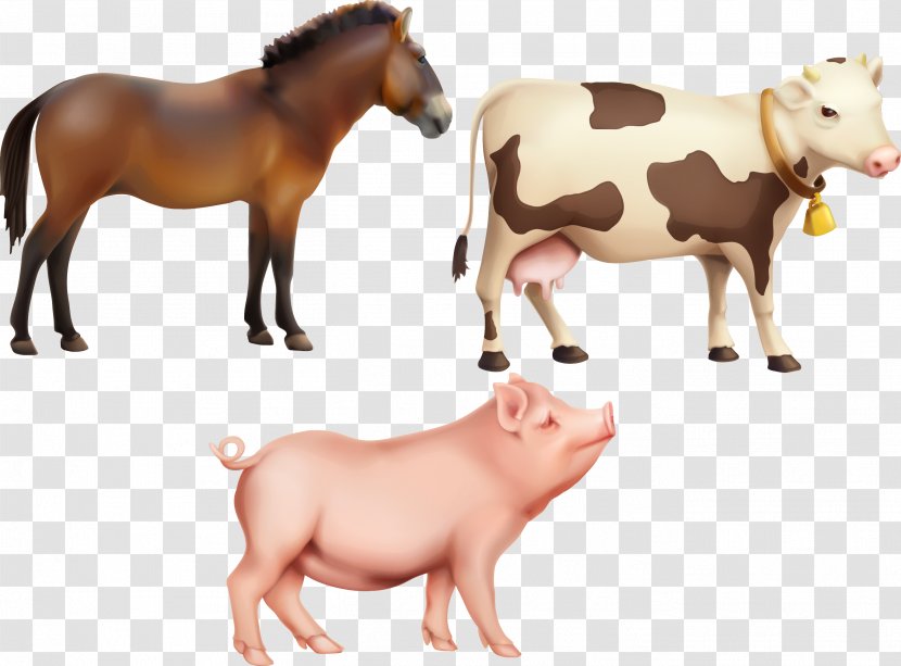 Cattle Horse Farm Clip Art - Pig - Vector Animal Livestock Cows Pigs Transparent PNG