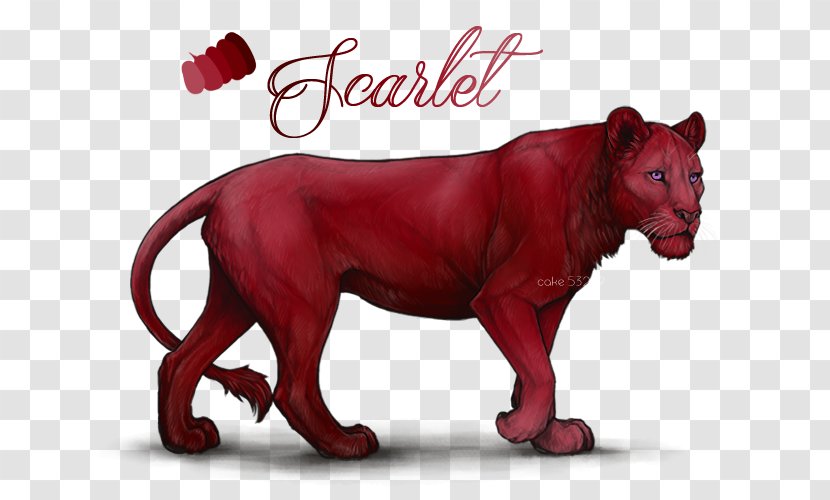 Cougar Cat Cheetah Lion Panther - Wildlife Transparent PNG